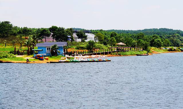 福容薰衣草花园