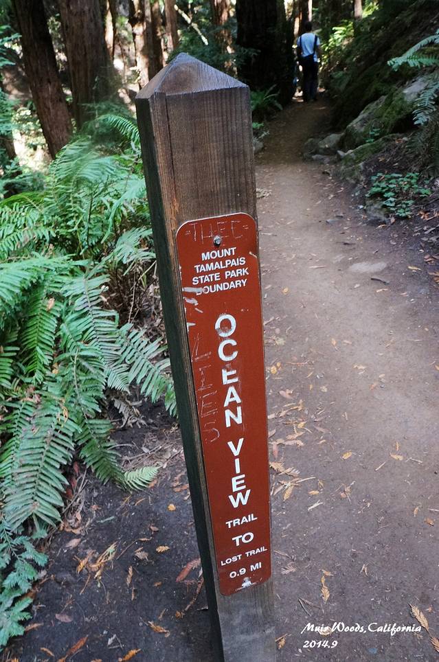 缪尔森林国家纪念地