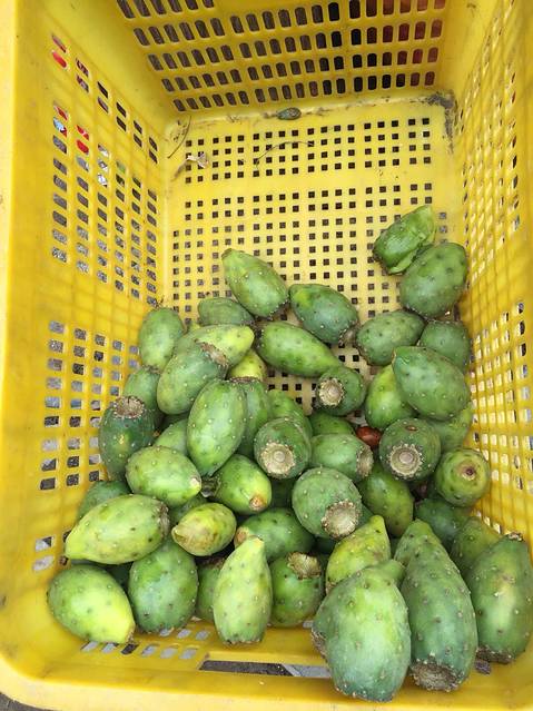 泸定县特产,仙人果.本地人说这个可以清火,不过感觉不太好吃.