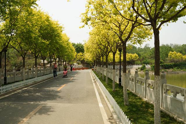 北宫国家森林公园