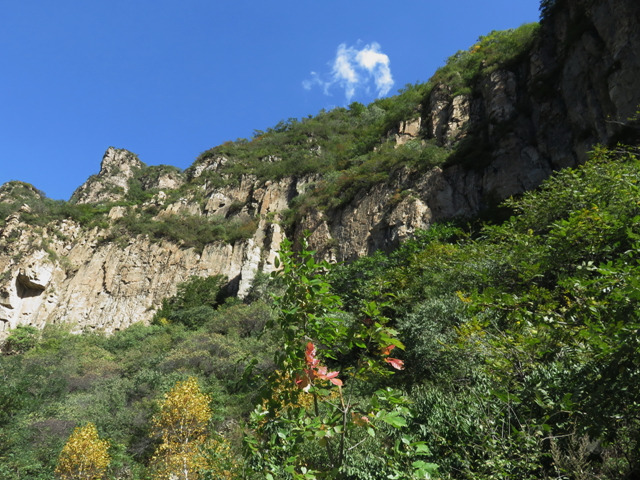 二帝山森林公园