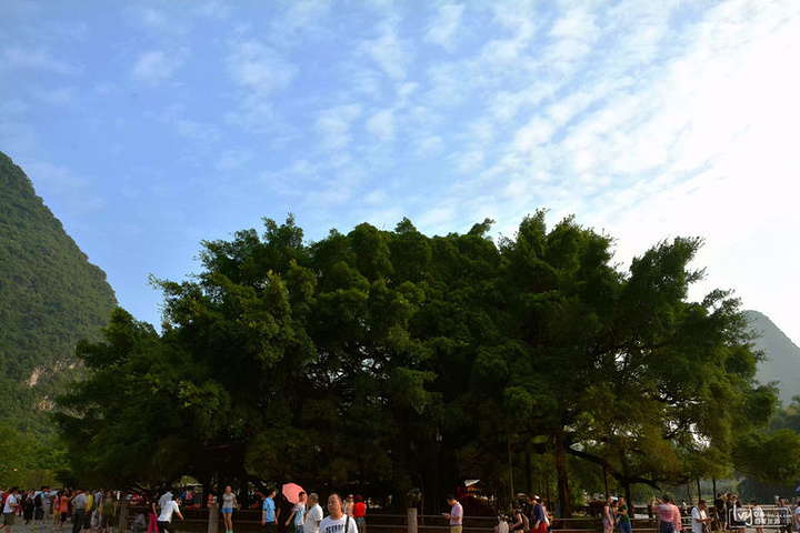 广西阳朔旅游景点_阳朔旅游收入