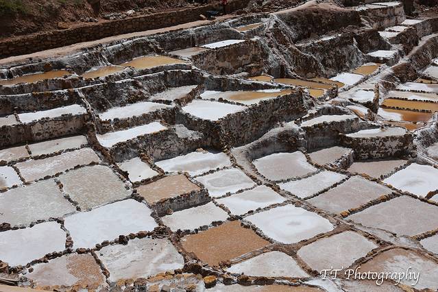 萨利纳斯·马拉斯