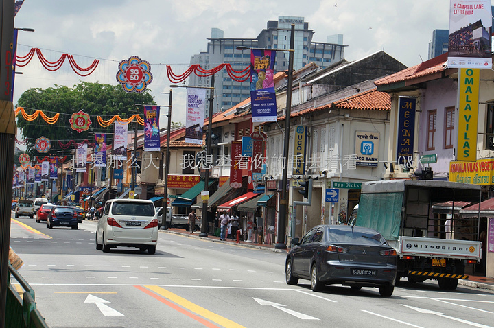 2017新加坡不亏是花园城市,到处都是绿色。小