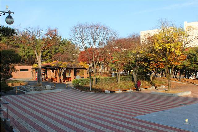 国立大邱博物馆