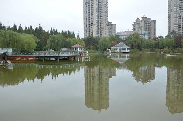 新虹桥中心花园