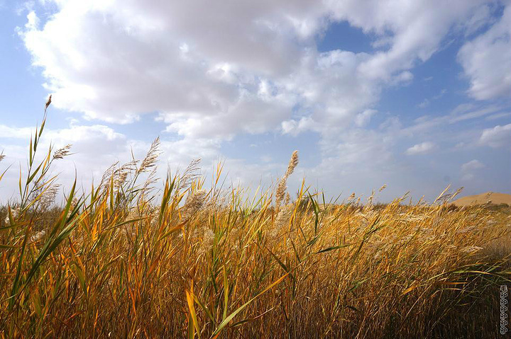 2017相机不做防沙保护很容易就报废拉_库布齐