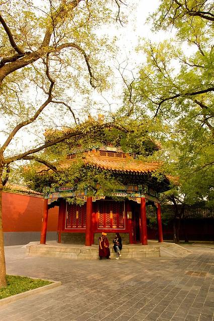 故地重游北平城,再见你的斑驳之美