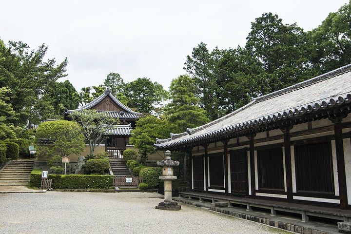 唐招提寺是著名古寺院位于日本奈良市西京五条街是一个和中国渊源很深