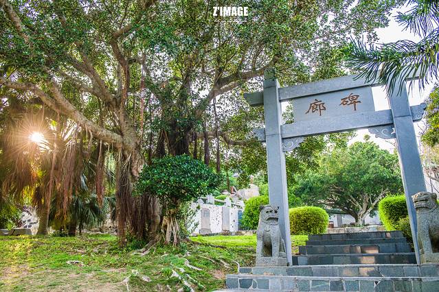 东山风动石景区