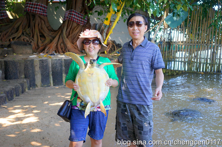 "其中最坑爹景点要数这个所谓的海龟岛。可我们对旅行社安排的行程实在有些大跌眼镜_海龟岛"的评论图片