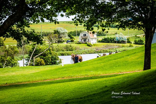 爱德华王子岛国家公园