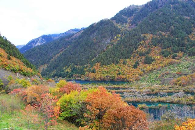 带着老爸去九寨--自助游攻略