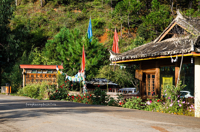 杨二车娜姆花房图片