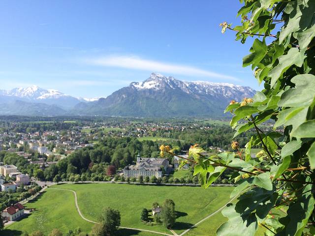 Capuchin Monastery观景台