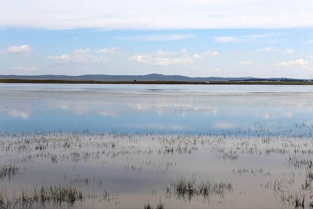 阿尔山世界地质公园-七仙湖草原
