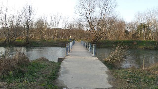 化成州湿地公园