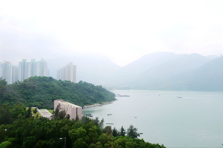 嘿,我想说我拍的不错【于是把照片买下来了。