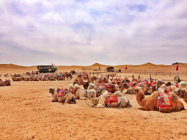 门票和里面各种项目都非常贵,好玩程度一般。