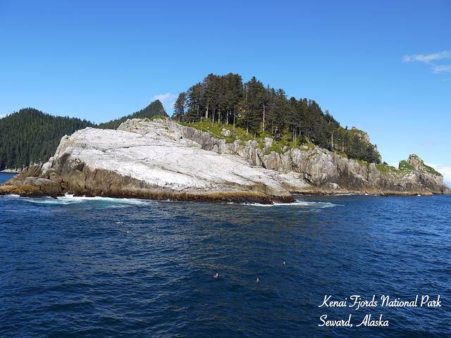 基奈峡湾国家公园