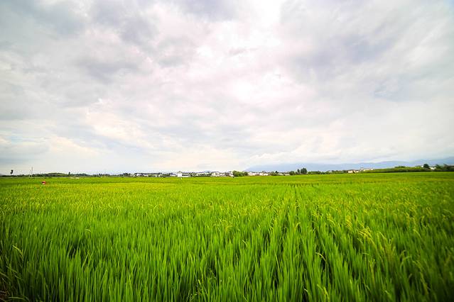 云南-老挝-泰国 大兵的背包旅行