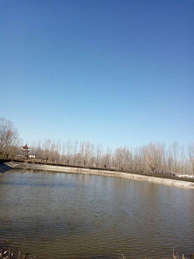 大河古渡文化园