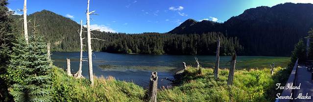 基奈峡湾国家公园