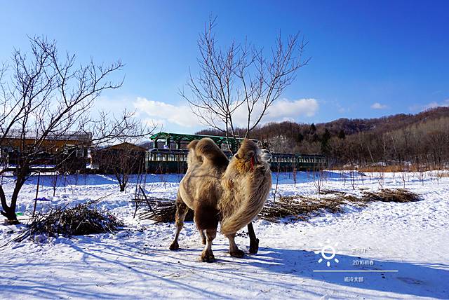 亚布力滑雪旅游度假区