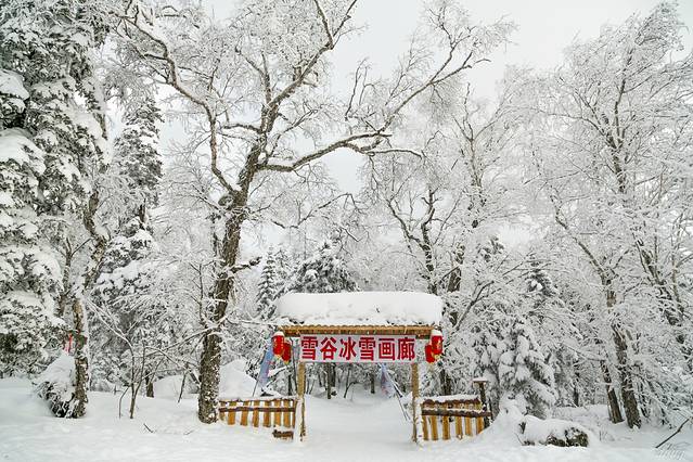 冰雪画廊