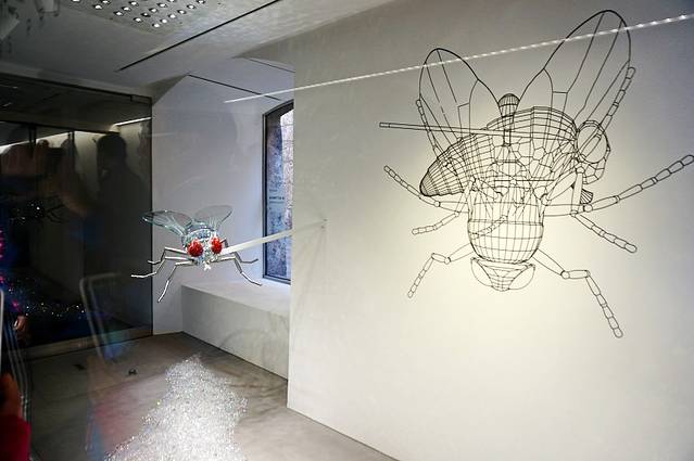 施华洛世奇水晶画廊