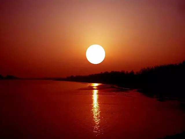 九重林的景观格局,星罗棋布的野胡杨勾勒出唯美而又神秘的自然风光