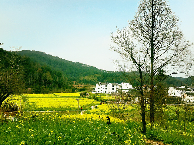 景点也都住着人让我看到活的古村落特别棒延村风景我好喜欢吃