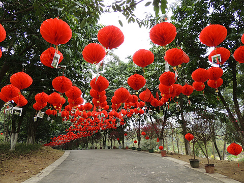 广西药用植物园旅游景点攻略图