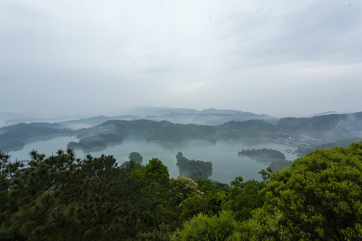 "当天正好下点小雨，雨后的景色更美！游玩可以选择乘船方式，门票165元稍贵，本次没有选择乘船游玩_万绿湖风景区"的评论图片