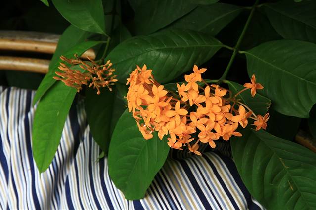 #春之女神#为了旅行而旅行的旅行