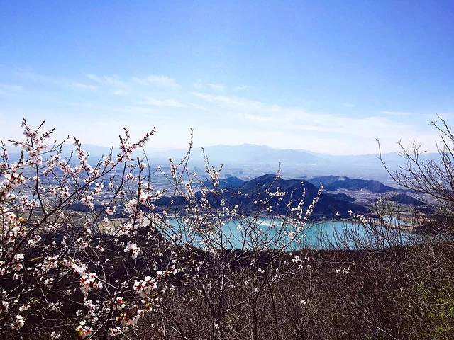 蟒山国家森林公园