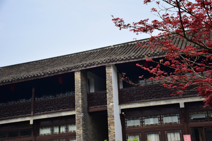 处就是何园主人引进了西方建筑的特色何芷舠一定是一个很开明很有时代