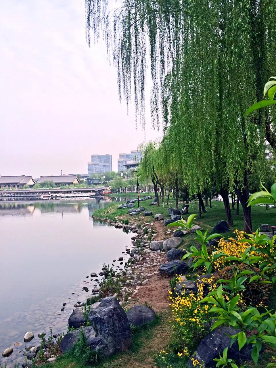 2019曲江池遗址公园游玩攻略,公园是张锦秋大