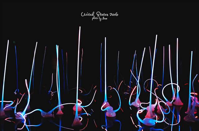 奇胡利玻璃艺术园