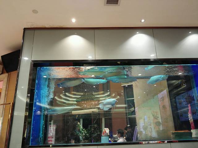 御口福·廿八年经典粤菜·驰名烧鹅 (远景路店)