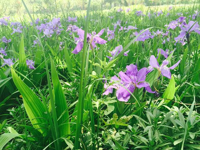 兰州大学(天水南路校区)