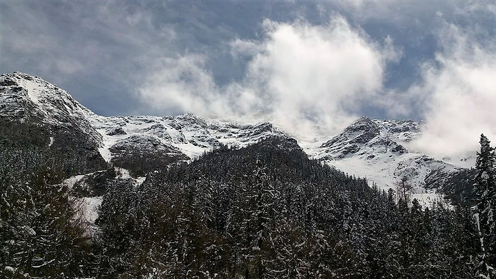 "经过昨天海拔较高的梦笔山，我觉得我爬玛嘉沟这座雪山完全不用担心高反了。木栈道上的羊群_玛嘉沟"的评论图片