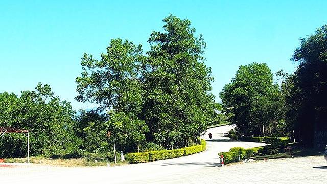 白沙起义纪念园