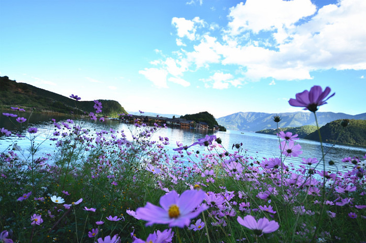 【泸沽湖里格半岛】 从里格观景台上望去里格半岛犹如臂弯一样伸到了湖中,三面环水,左右青山怀抱,