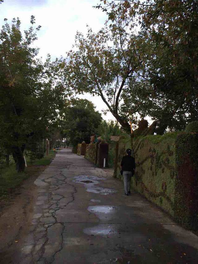 乌苏里江国家森林公园