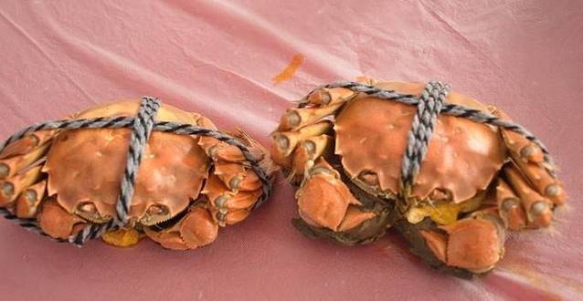 金水乡农家乐蟹庄