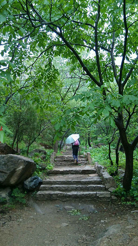 "山道很好走，时而步行在鹅卵石上，时而沿石板台阶拾阶而上，在碧绿的山间穿行，一步一景，很是享受_白虎涧森林公园"的评论图片