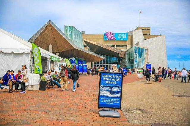 感受太阳的温度,波士顿大暴走