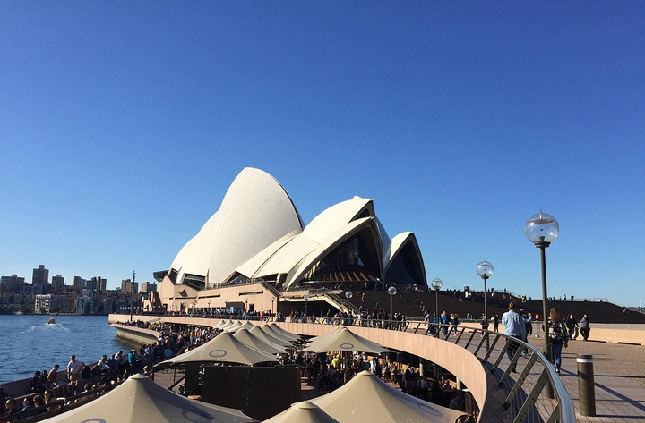"悉尼的天非常非常皎洁碧蓝，跟这海水互相呼应，特别漂亮，海岸边修建了很多水泥墩，很多人累了就直接..._悉尼海港大桥"的评论图片