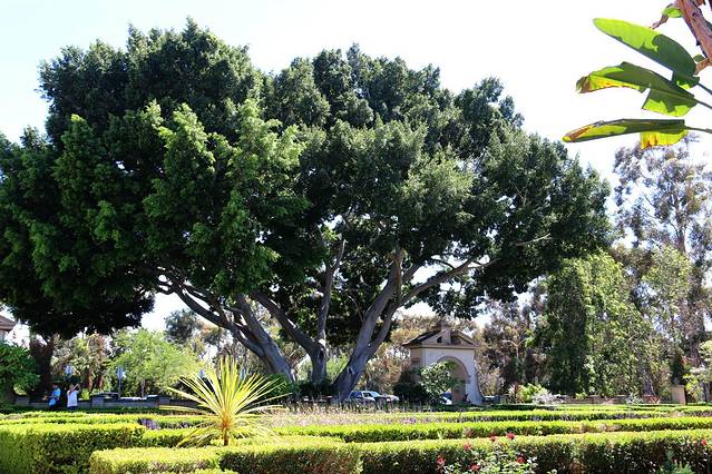 老城圣迭戈州立历史公园